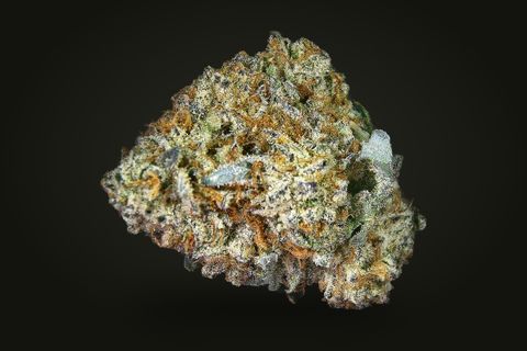 Pandora from another side: a wedge-shaped bud with orange hairs and a grey leaf at its right, on a plain black background.