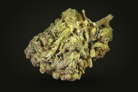 A cured bud of Pedro's Sweet Sativa, leafy and yellow-green with a stem at its upper right, on a plain black background.