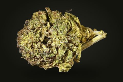 Pedro's Sweet Sativa from another side: a round, leafy bud with a stem at its right, on a plain black background.