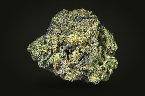 Pinball Wizard from a third side: a dense bud in dark green and lime with orange hairs, on a plain black background.