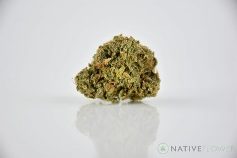 A cured bud of Pineapple, photographed against a white background.