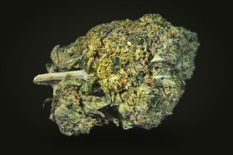 A cured bud of Pink Galactica, dark green and lime gold under a frost, with a short stem at its left, on a plain black background.