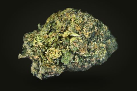 Pink Galactica from another side: a rounded, dense bud in lime and dark green, on a plain black background.