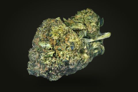 Pink Galactica from a third side: a dense bud with orange hairs and a leaf tip at its right, on a plain black background.
