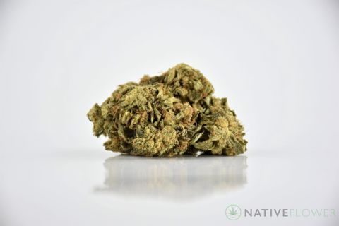 A cured bud of Pink Vader, photographed against a white background.