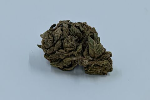 A cured bud of Platinum OG, olive green with its sugar leaves curled around it, photographed against a plain pale-grey background.