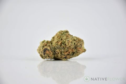 A cured bud of Purple Runtz, photographed against a white background.