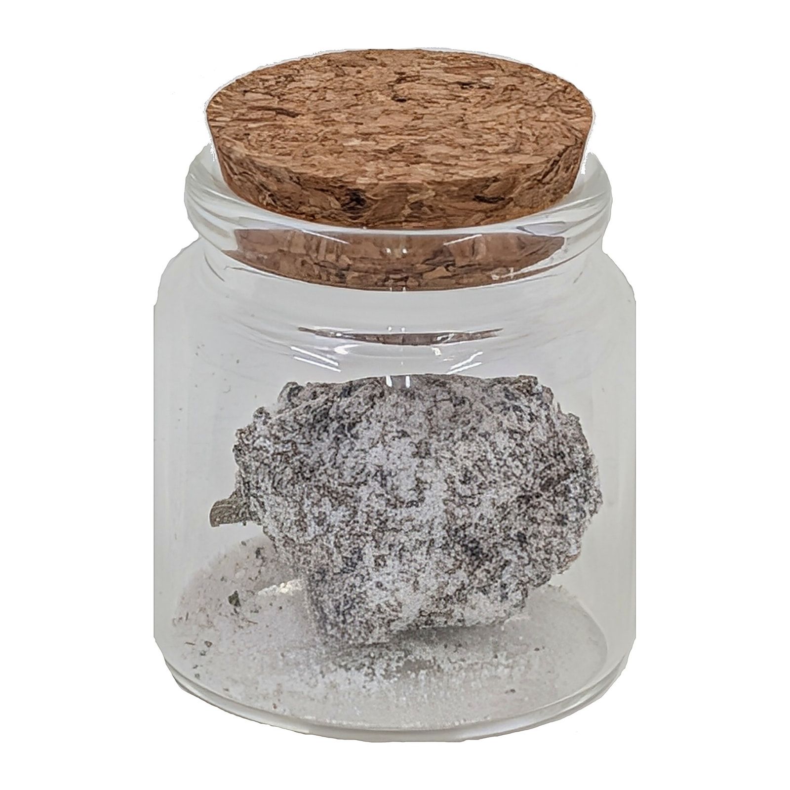 A single frosted Snow Balls bud in a corked glass jar, on a white background.