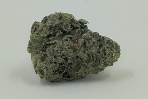 A cured bud of Sour Diesel, photographed against a plain pale-grey background.