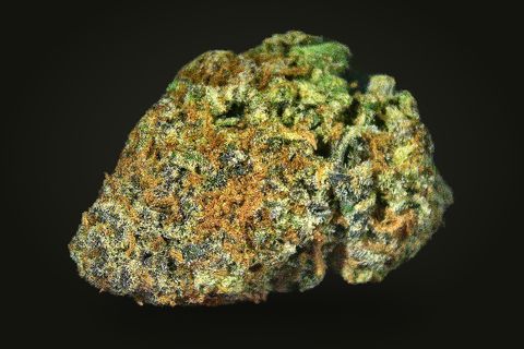 A cured bud of Strawberry Cough, gold-green and thick with orange hairs, with dark purple flecks, on a plain black background.