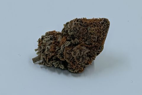 A cured bud of Strawberry Cough, frosted and thick with orange hairs, with a short stem, photographed against a plain pale-grey background.