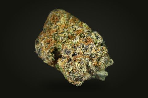 Strawberry Cough from a third side: a tilted bud covered in orange hairs, on a plain black background.