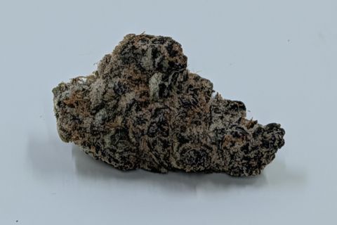 A cured bud of Super Tropic, dark purple under a coat of white frost, photographed against a plain pale-grey background.