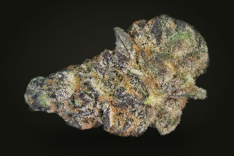 A cured bud of Super Tropic, green and grey-purple with orange hairs and a frosted leaf at its top, on a plain black background.