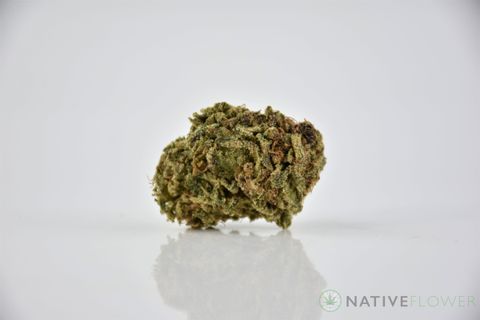 A cured bud of Terpy Purp, photographed against a white background.