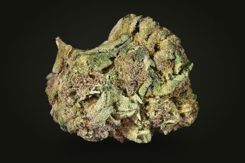 A cured bud of Terpy Purp, olive green with purple-brown patches and pale sugar leaves, on a plain black background.