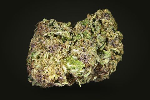 Terpy Purp from another side: a wide, two-lobed bud with purple patches through the green, on a plain black background.