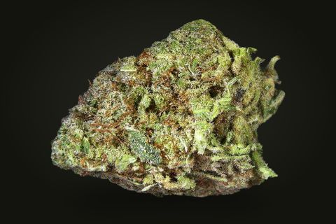 A cured bud of Violator, lime and green with orange hairs and a purple-brown base, on a plain black background.