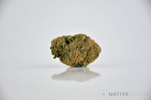 A cured bud of Zoap, photographed against a white background.