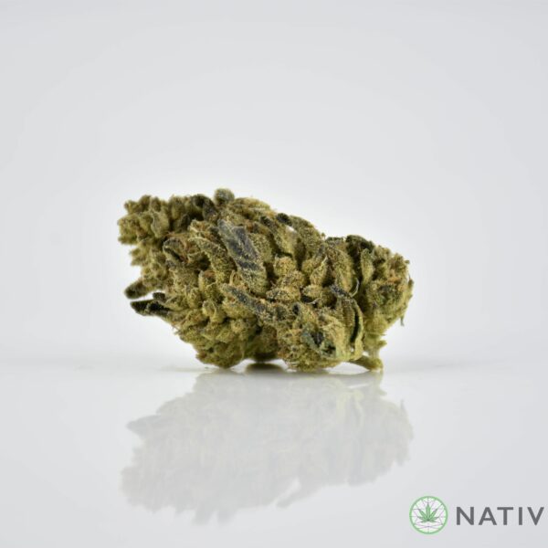 Skunk Berry