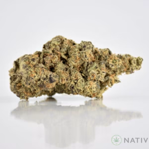 MK Ultra