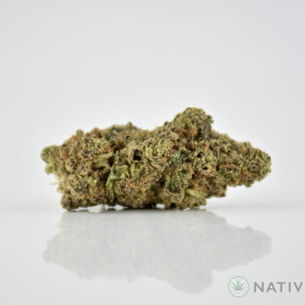 MK Ultra