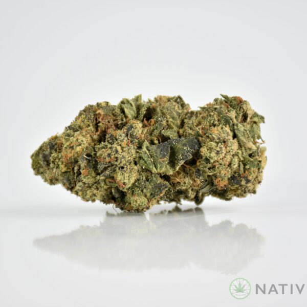 Northern Lights