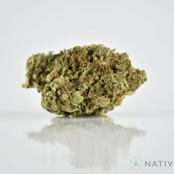Jack Herer