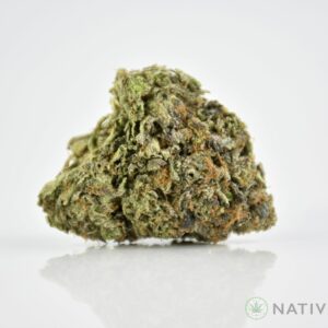 GG4