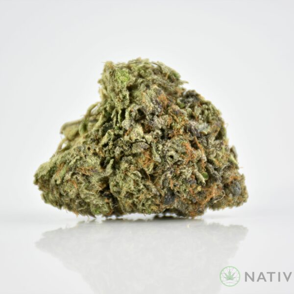 GG4