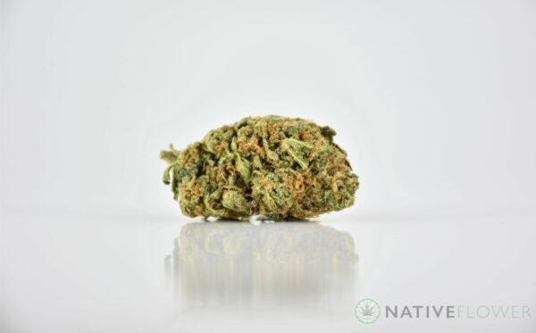 Quattro Kush