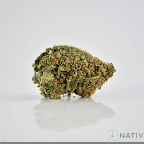 Predator OG