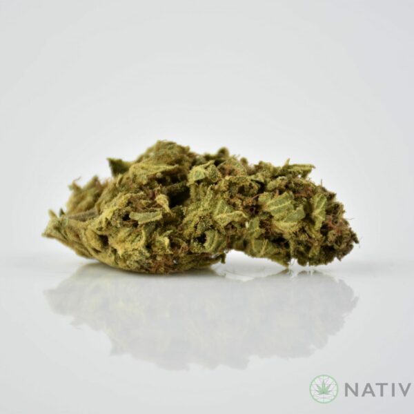 Sour Breath
