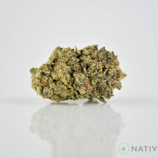 White Skunk