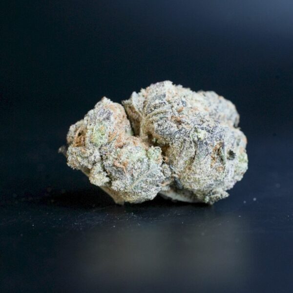 Apple Fritter