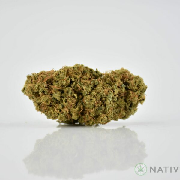 Chocolope