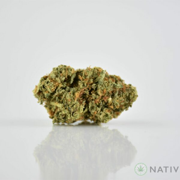 Gelato 33