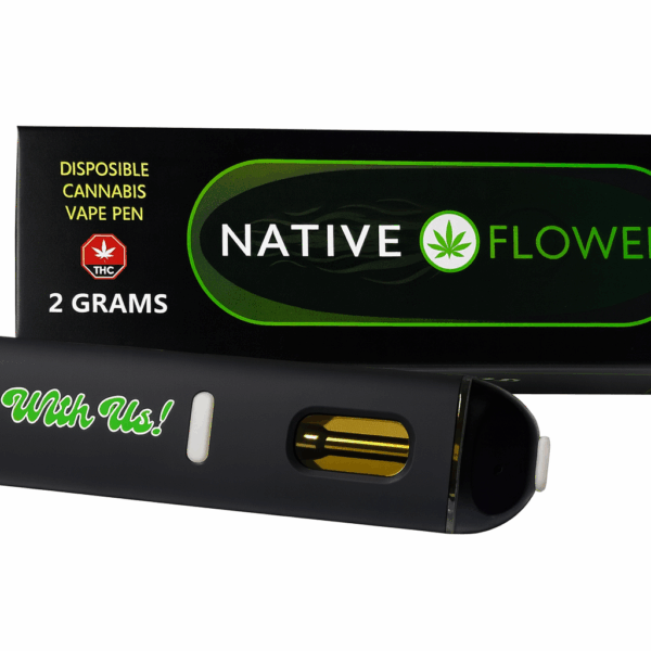 2G Vape Pen
