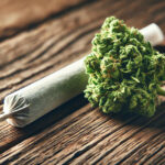 nf_joint_and_bud_on_wood Joints