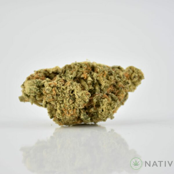 Alien Fuel