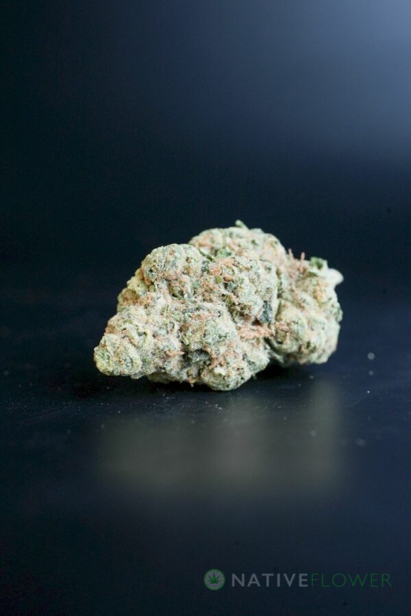 Holy Grail
